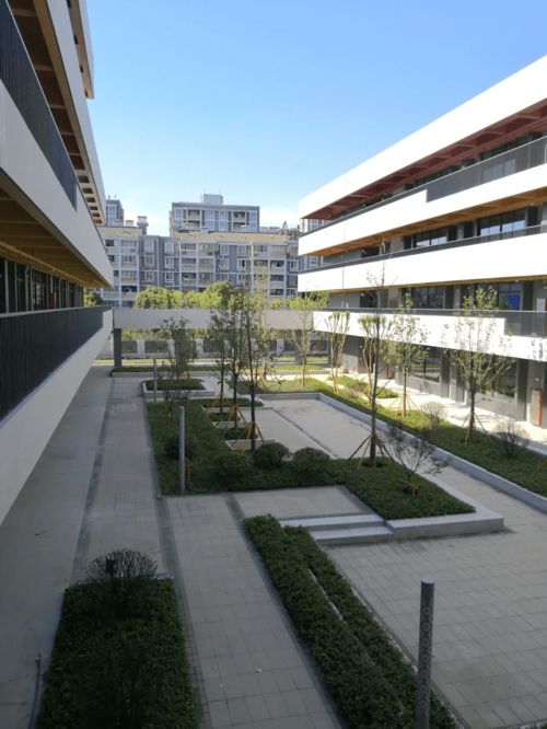 嘉興新校園科技賦能，智慧建設引領教育新風尚